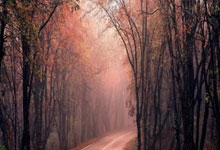 开拓者击败76人，延续不败之地