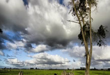 勇士主帅兼GM：库里将成队史最伟大球员