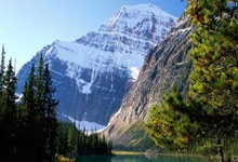 NBA总决赛MVP榜：亚历山大领跑哈利伯顿第四