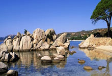 NBA总决赛MVP榜：亚历山大领跑哈利伯顿第四